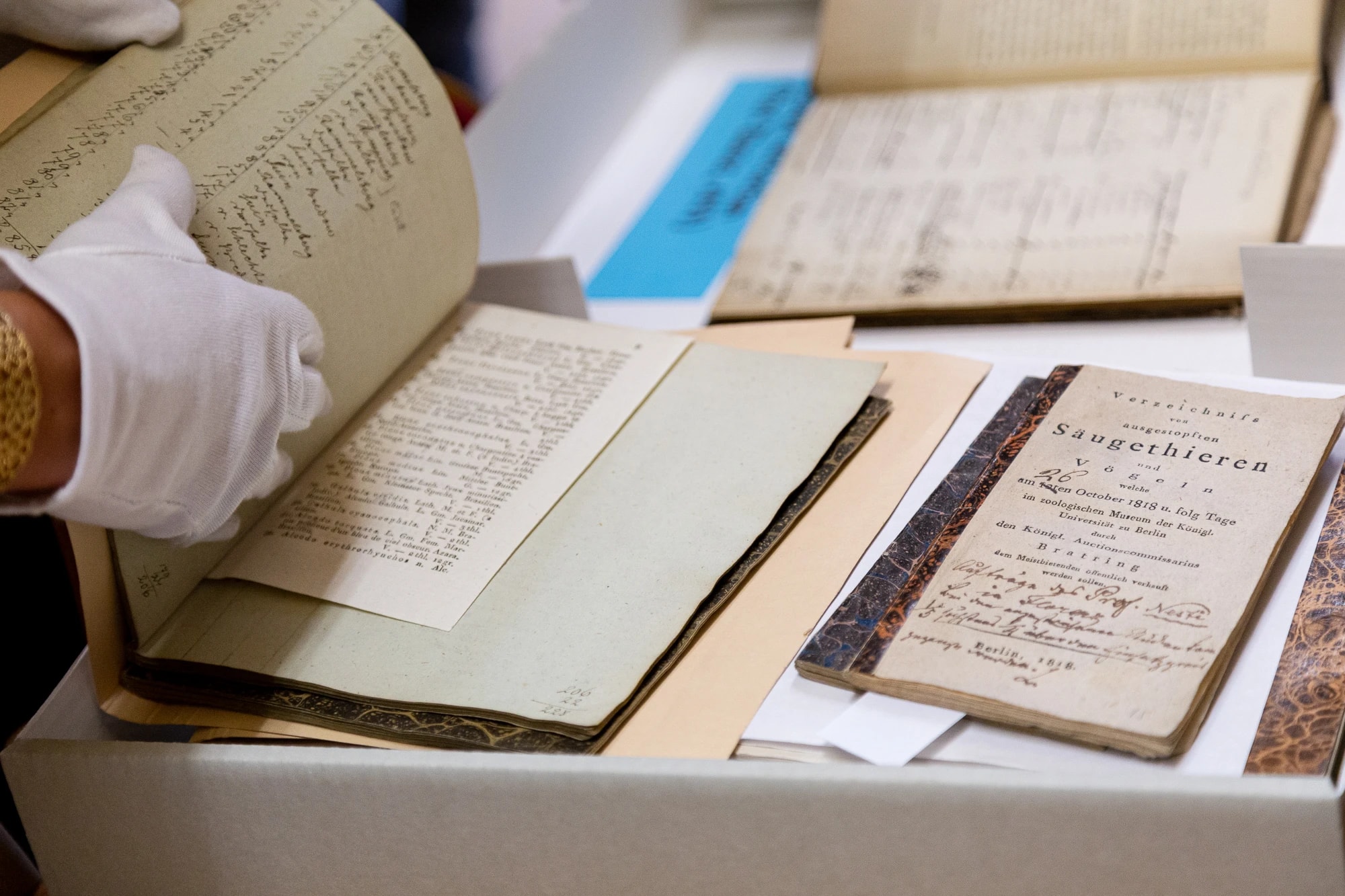 person looking at archival material