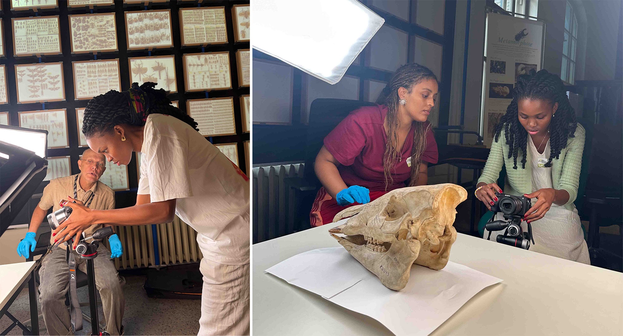 Digitization training at Museum für Naturkunde Berlin