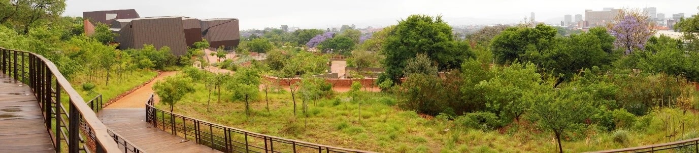 view across Freedom Park