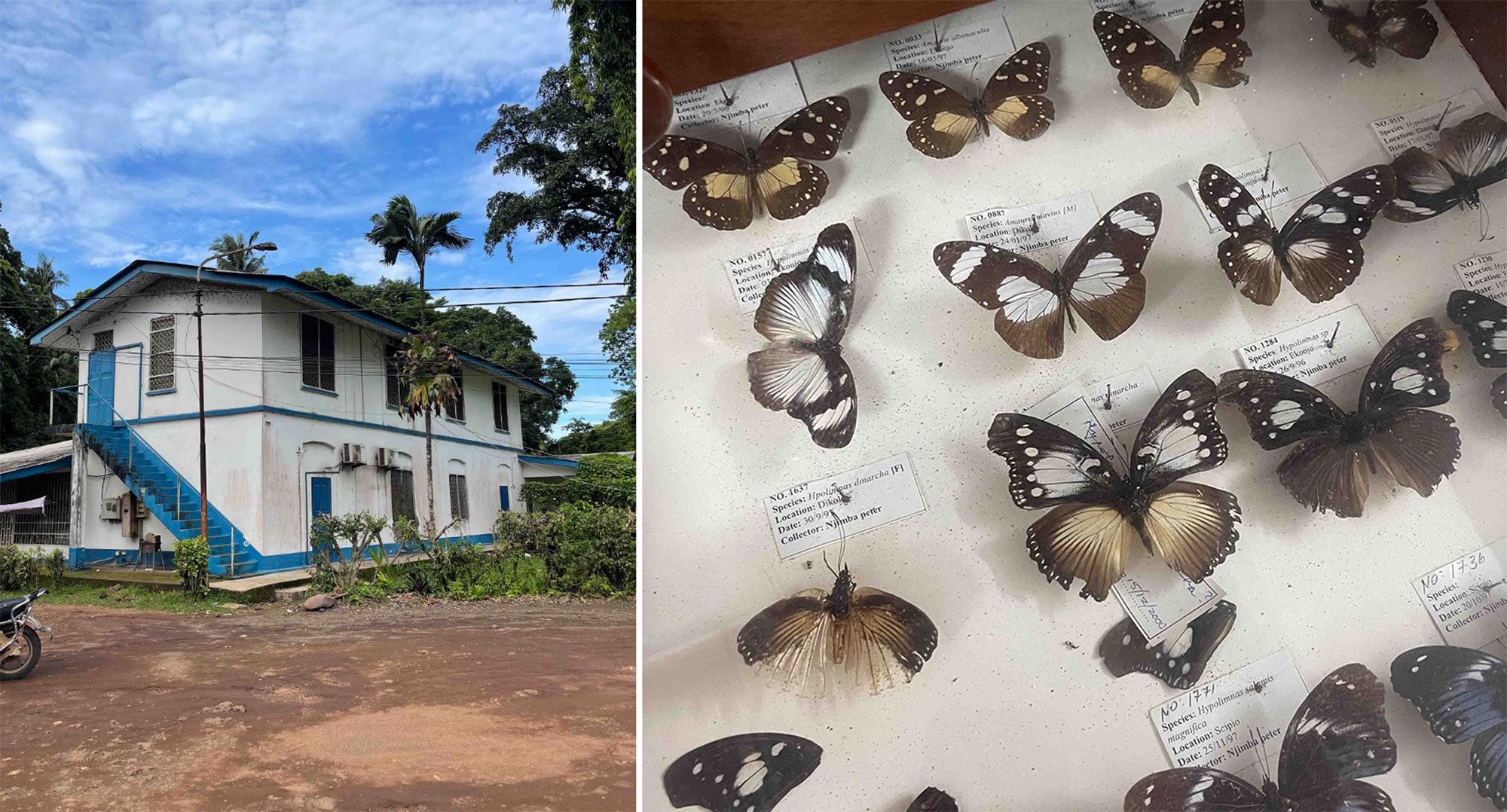 Limbe Botanical Garden