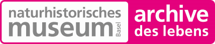 Natural History Museum Basel logo