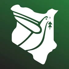 Peace Memorial Museum 