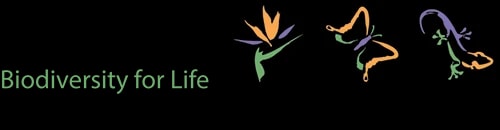 Kirstenbosch Botanical Gardens  logo