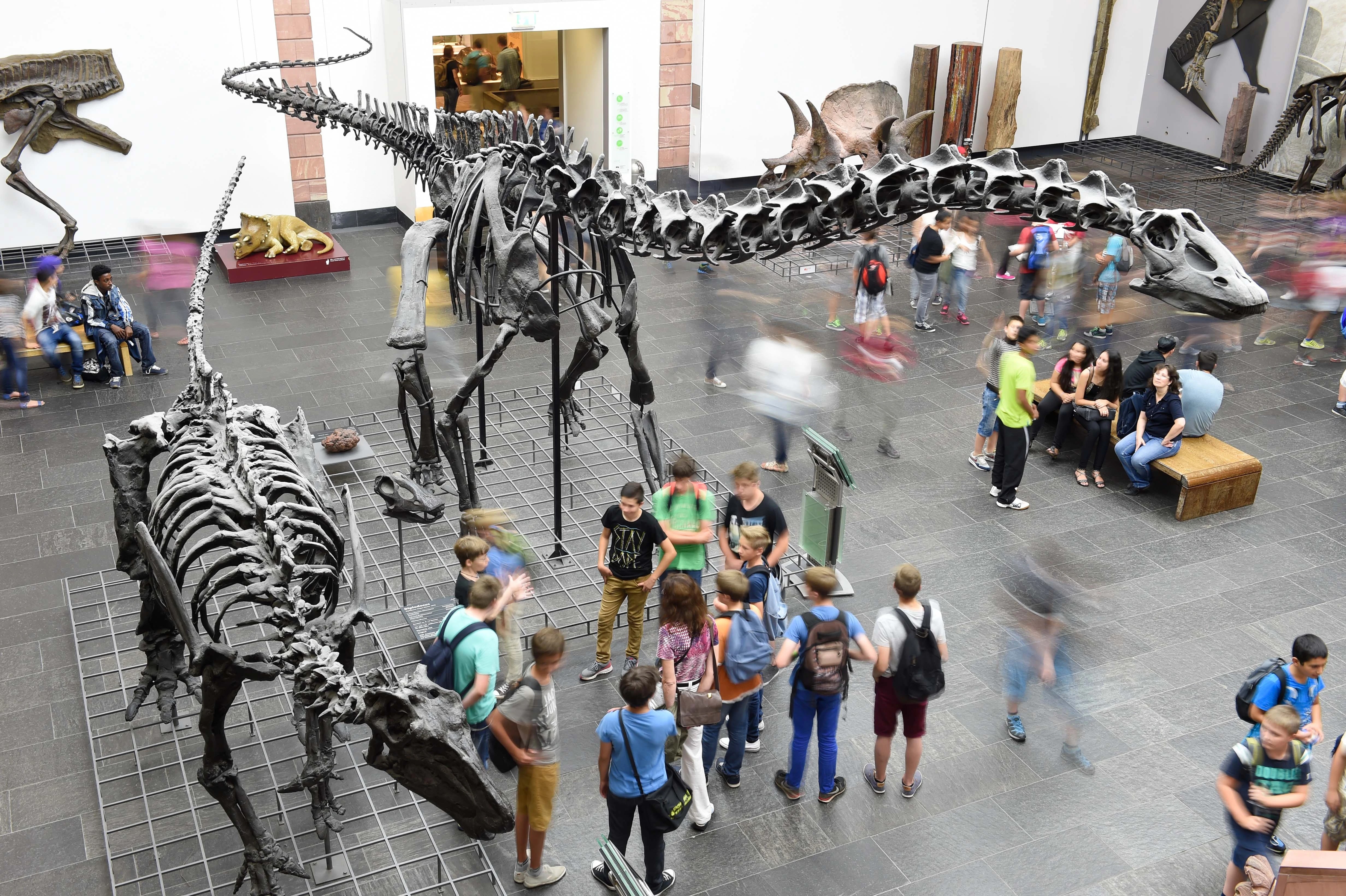 hall of Senckenberg Museum with visitors looking at dinosaurs