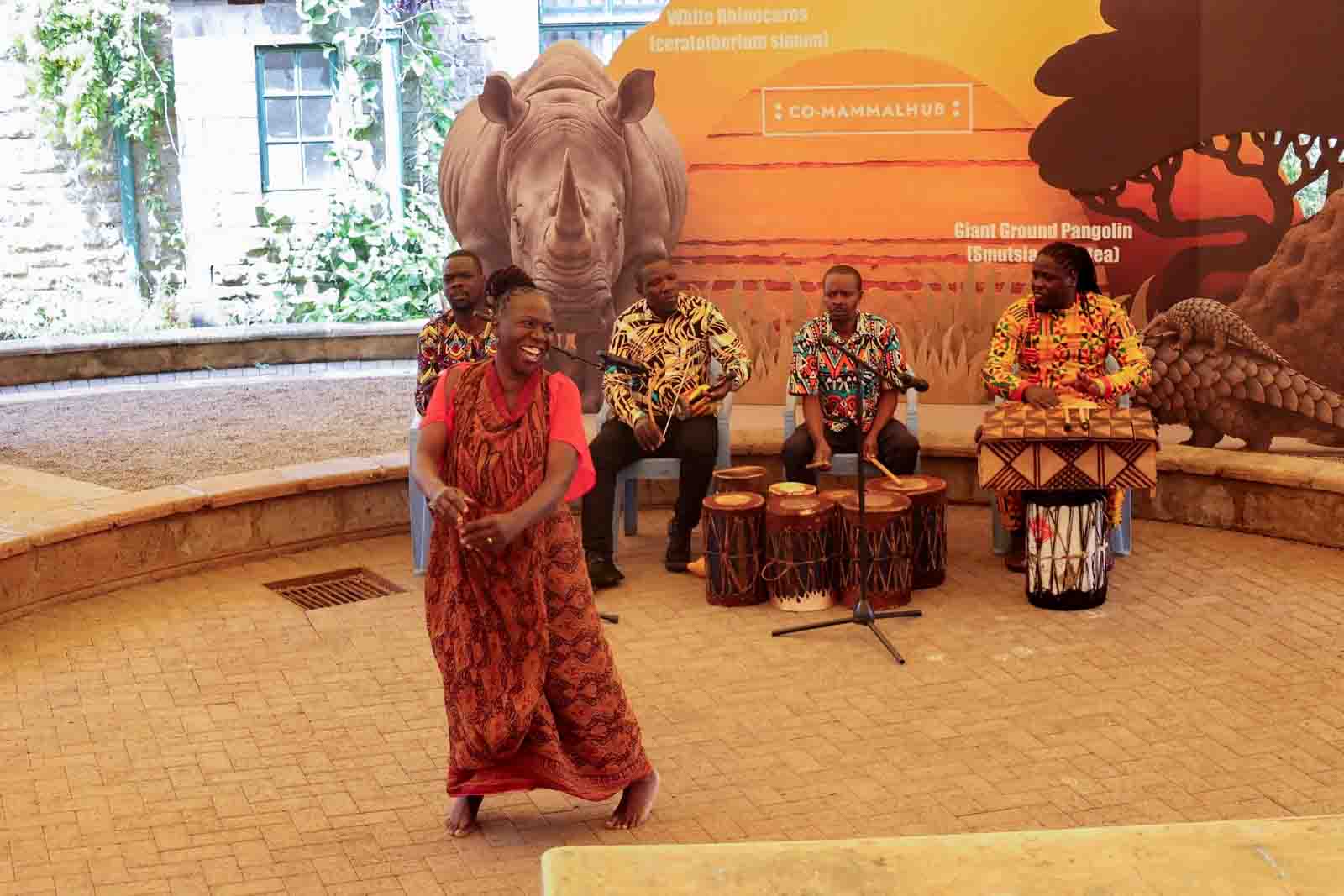 Co_Mammal_Hub_Nairobi_5_4a361b0773.jpg